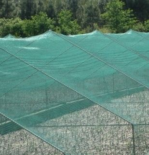 Greenhouse Anti Insect Netting 1m-4m Green Abrasion Resistance