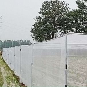 50mesh High Density Agriculture Insect Net 50-90gsm Vegetable Anti Insect Net